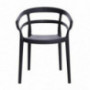 Amazon Basics Dark Grey, Curved Back Dining Chair-Set of 2, Premium Plastic