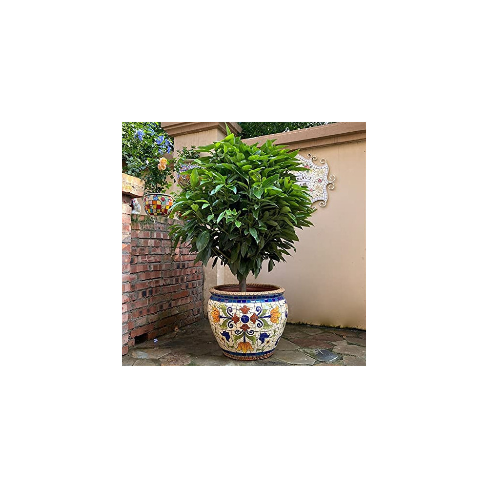 Kioiien Large Green Plant Flower Pots Hand-Painted Succulent Ceramic Mosaic Flowerpots with Hole Cylinder Planter Indoor and 
