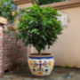 Kioiien Hand-Printed Ceramic Mosaic Flower Pots Green Plant Succulent Plant Pots Indoor Outdoor Bonsai Pots Cylinder Planter 