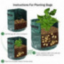QingFan Reusable Planter Bags Vegetable Growing Bag Nonwoven Garden Bag Vegetable Potato Planting Bags Pot Flowerpot Plant Co