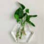 LKXSWZQ 2Pcs Glass Hanging Planter,Terrarium Hydroponic,Planter Vase Terrarium for Home Garden Decor