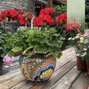 Liiokiy Hanging Plants Pot Planters Outdoor Flower Pot Vintage Garden Patio Balcony Decor Indoor Or Outdoor Use Plant Pot Dec