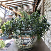 Liiokiy Colorful Vase Large Flower Pot Villa Outdoor Garden Decor Plant Pot Home Balcony Terrace Garden Plant Container Home 