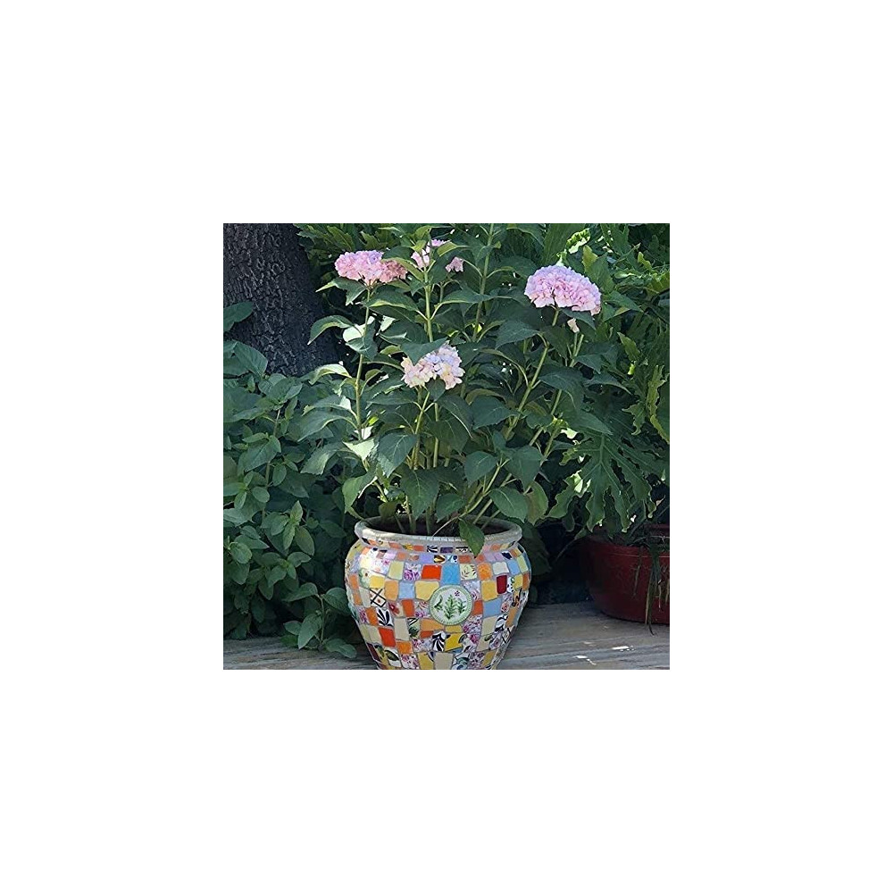 Kioiien Plant Pots Outdoor Garden Ceramic Succulent Flower Pots Large Cylinder Planter Ceramic Mosaic Flowerpots Plant Contai