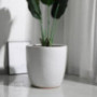 Kioiien Round Modern Ceramic Flower Pots White Garden Succulent Cactus Plant Pots Indoor Decoration Cylinder Planter Bonsai P