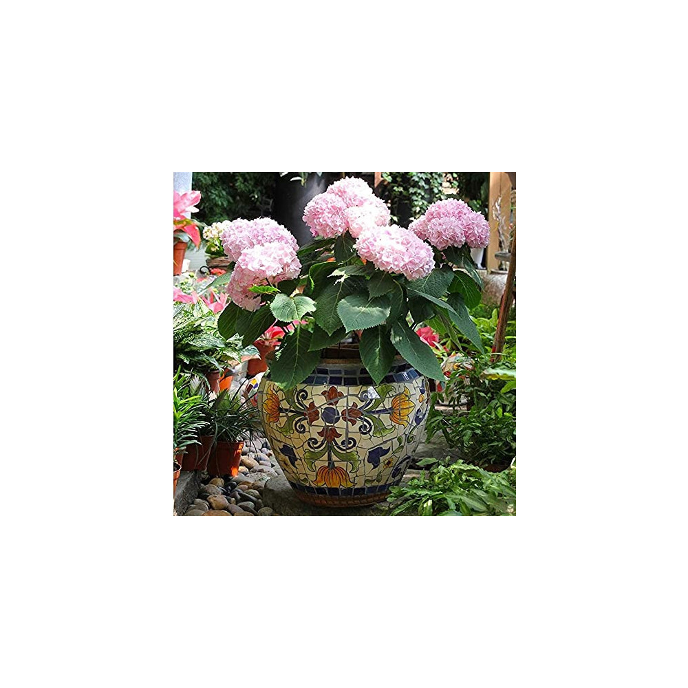 Liiokiy Indoor Or Outdoor Use Landscape Pattern Planter Creative Animal Little Bird Mosaic Indoor Or Garden Plant Container P