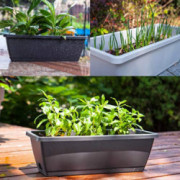 edgro Balcony Planting Vegetable Planting Pot Trough Flower Vegetable Plastic Pot Patio, Lawn & Garden  C 