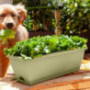ihtha Trough Balcony Vegetable Planting Flower Plastic Vegetable Pot Planting Pot Patio, Lawn & Garden  C 