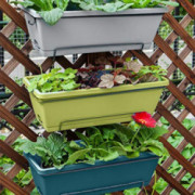 edgro Pot Balcony Trough Planting Pot Planting Vegetable Vegetable Flower Plastic Patio, Lawn & Garden  A 
