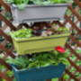 edgro Pot Balcony Trough Planting Pot Planting Vegetable Vegetable Flower Plastic Patio, Lawn & Garden  A 
