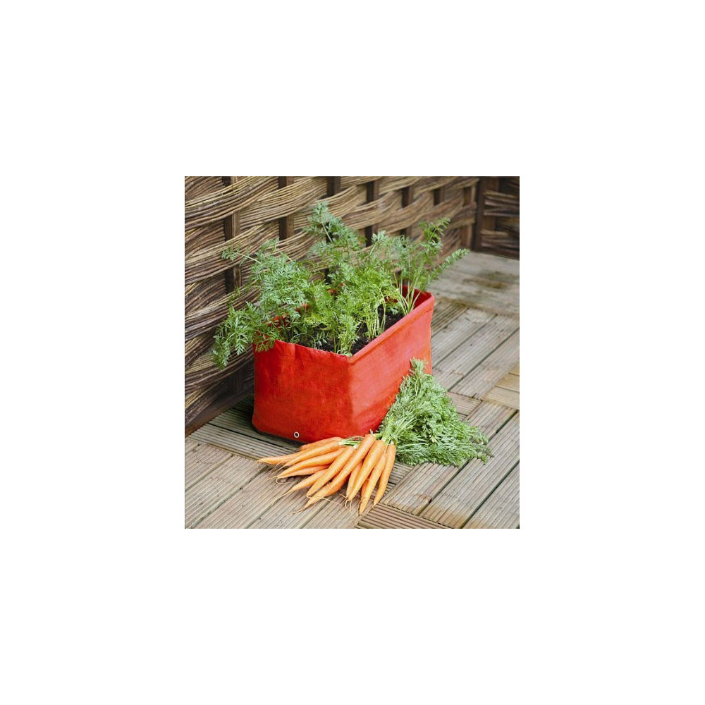 Haxnicks 2x Carrot Patio Planters