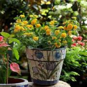 Liiokiy Garden Plant Container Mosaic Flower Pot Classical Garden Floor Indoor Plant Pot for Bonsai Plants Indoor Or Outdoor 