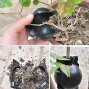 Qyhgba 9/27Pcs Reusable Plant Rooting Growing Box, Root Grafting Balls Flower Pot, Garden Round Box, High Pressure Propagatio
