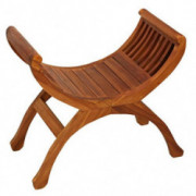 Bare Decor King George Indoor Outdoor Chair in Solid Teak Wood