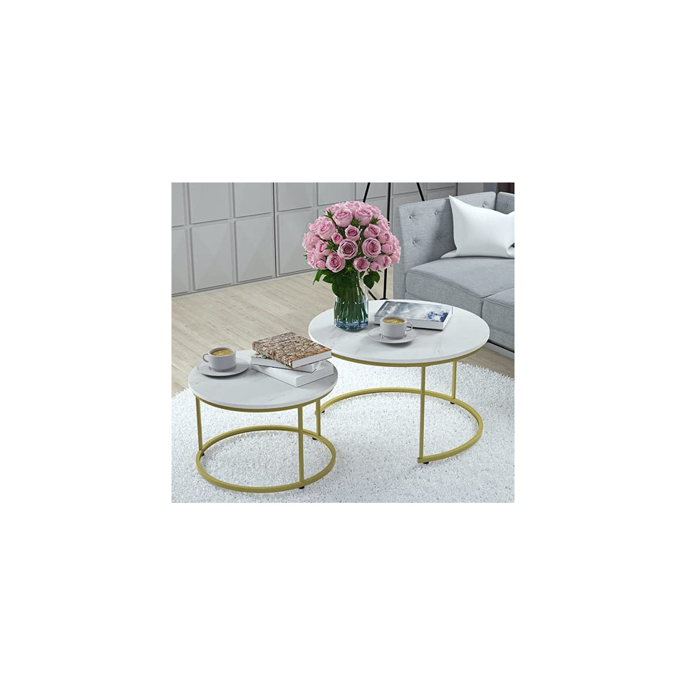 Yechen Coffee Table for Living Room, Set of 2 Modern Nesting Side Coffee Tables, Contemporary Accent Coffee and Snack End Tab