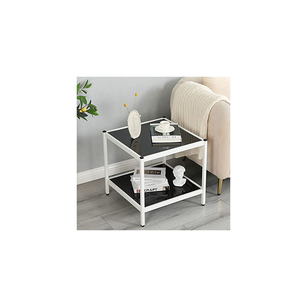 Joe Eagle Nikki 2-Tier Glass End Table, Square Nightstand with Storage Shelf, Metal and Tempered Glass, for Living Room, Bedr