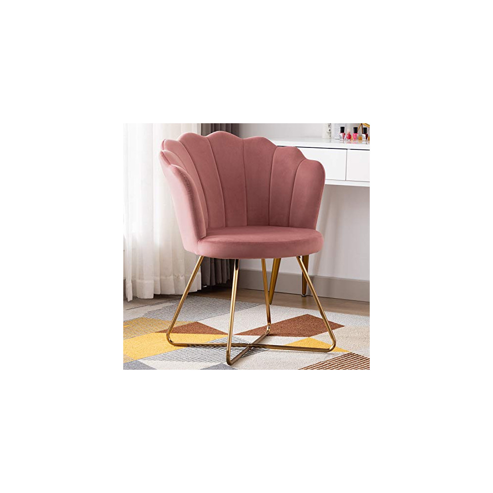 Duhome Velvet Vanity Chair Accent Chair，Makeup Chair with Back for Bedroom Makeup Room, Shell Shaped Living Room Chair with G