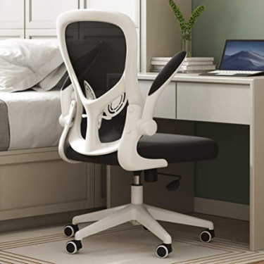 Hbada Office Chair, Ergonomic Desk Chair, Computer Mesh Chair with Lumbar Support and Flip-up Arms,White
