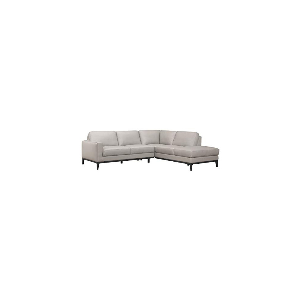 Lexicon 101" x 87" Leather Sectional Sofa, Gray