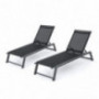Mesa Outdoor Black Mesh Chaise Lounge with Grey Finished Aluminum Frame  Set of 2 