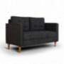 AODAILIHB Modern Soft Cloth Tufted Cushion Loveseat Sofa Small Space Configurable Couch 54.3"