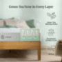 ZINUS 12 Inch Green Tea Luxe Memory Foam Mattress/Pressure Relieving/CertiPUR-US Certified/Bed-in-a-Box/All-New/Made in USA, 