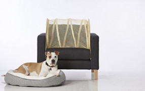 Chair Defender: Keep Pets Off of Your Furniture!  Beige 