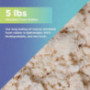 5 lb - All Natural Shredded Latex Foam - New Recycled Fill for Bean Bags - Pet Beds - Pillows - Made in The USA by Bean Produ
