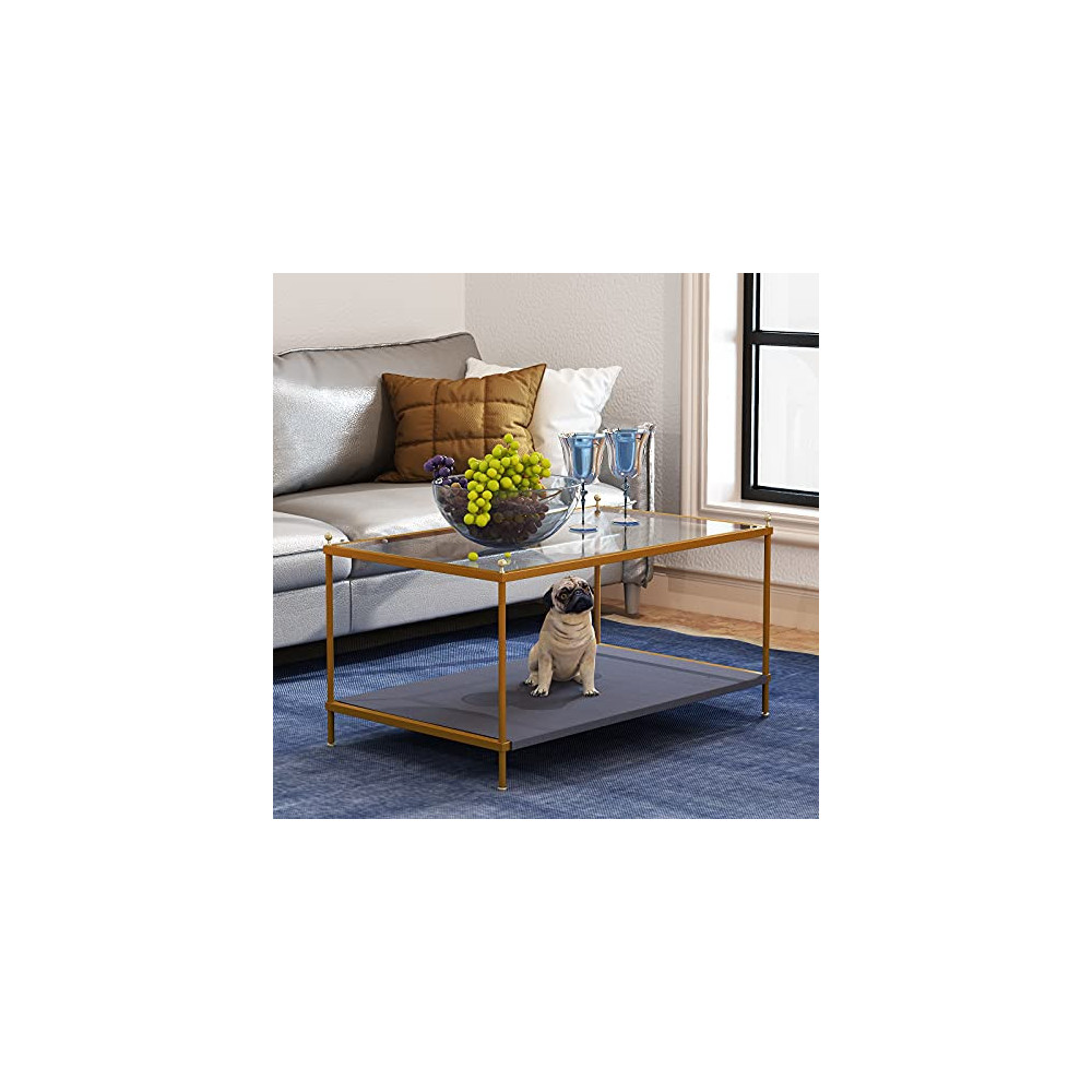 Rectangle Coffee Table Share with Pets,Tempered Glass Side Coffee Table for Living Room,2-Tier Sofa Table,Modern Rectangle Ta
