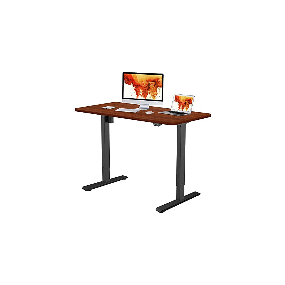 Flexispot EC1 Standing Desk, 48 x 24 Inches Height Adjustable Desk, Electric Sit Stand Desk Home Office Desks Whole-Piece Des