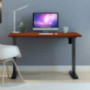 Flexispot EC1 Standing Desk, 48 x 24 Inches Height Adjustable Desk, Electric Sit Stand Desk Home Office Desks Whole-Piece Des