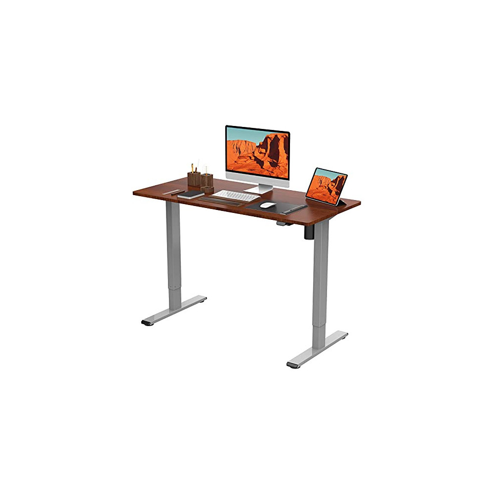 Flexispot EG1 Standing Desk 48 x 24 Inches with Splice Board Height Adjustable Desk Electric Sit Stand Desk Home Office Desks