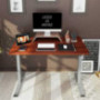 Flexispot EG1 Standing Desk 48 x 24 Inches with Splice Board Height Adjustable Desk Electric Sit Stand Desk Home Office Desks